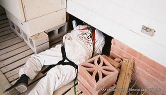 AAA Bee Removal employee entering a crawl space